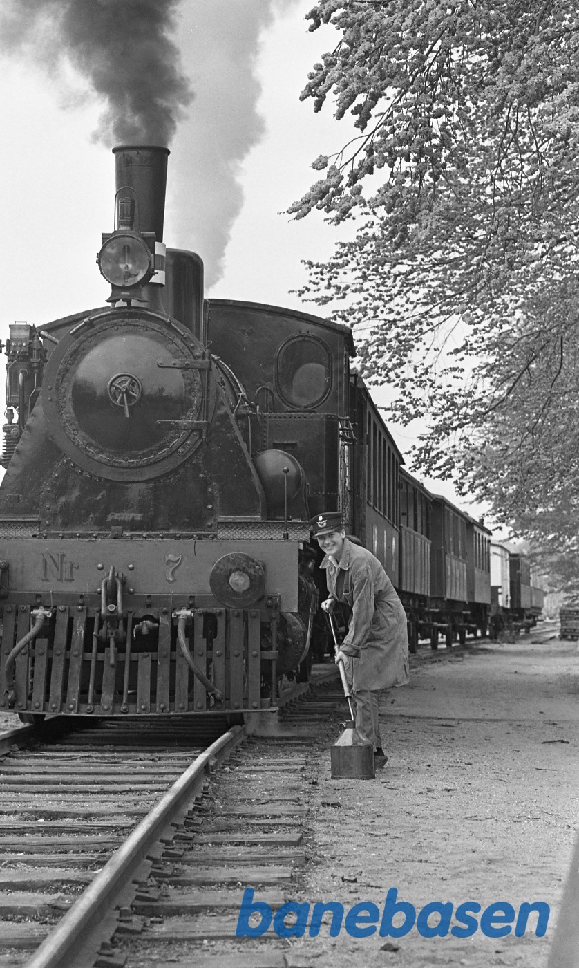 Eva Nielsen smører ØSJS 7 op i Rungsted Eva Nielsen smører ØSJS 7 op i Rungsted