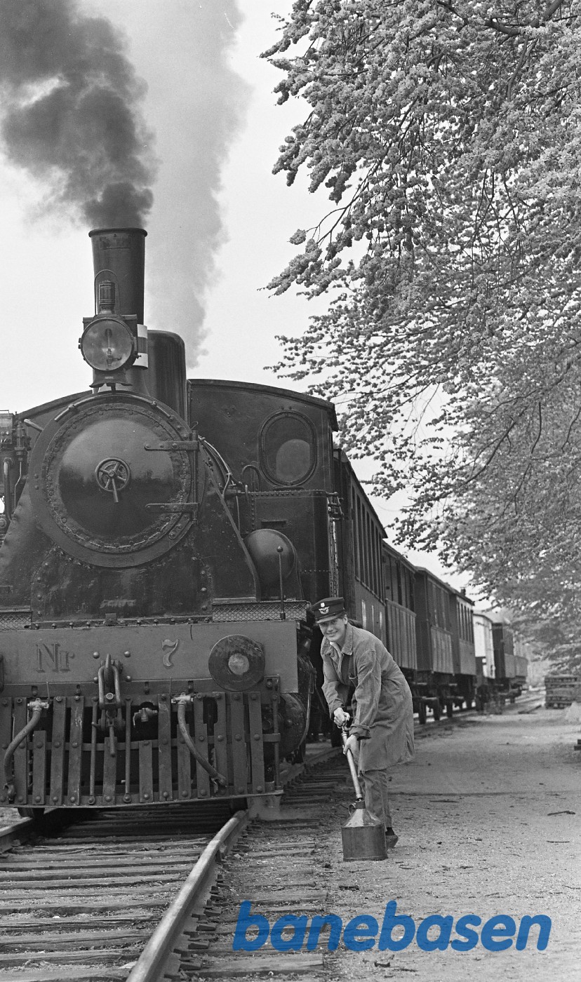 Eva Nielsen smører ØSJS 7 op i Rungsted Eva Nielsen smører ØSJS 7 op i Rungsted