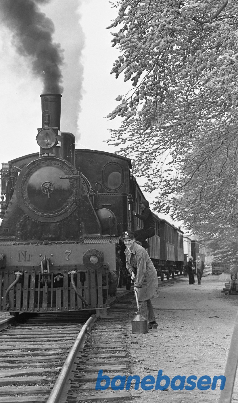 Eva Nielsen smører ØSJS 7 op i Rungsted Eva Nielsen smører ØSJS 7 op i Rungsted