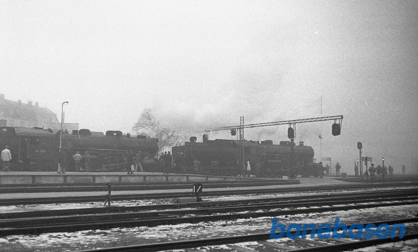 HKH Kong Frederik IX begravelse HKH Kong Frederik IX begravelse