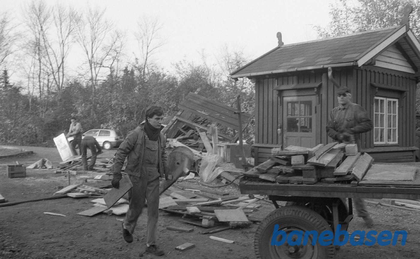 Affaldstræ i Rungsted til opfyring Affaldstræ i Rungsted til opfyring