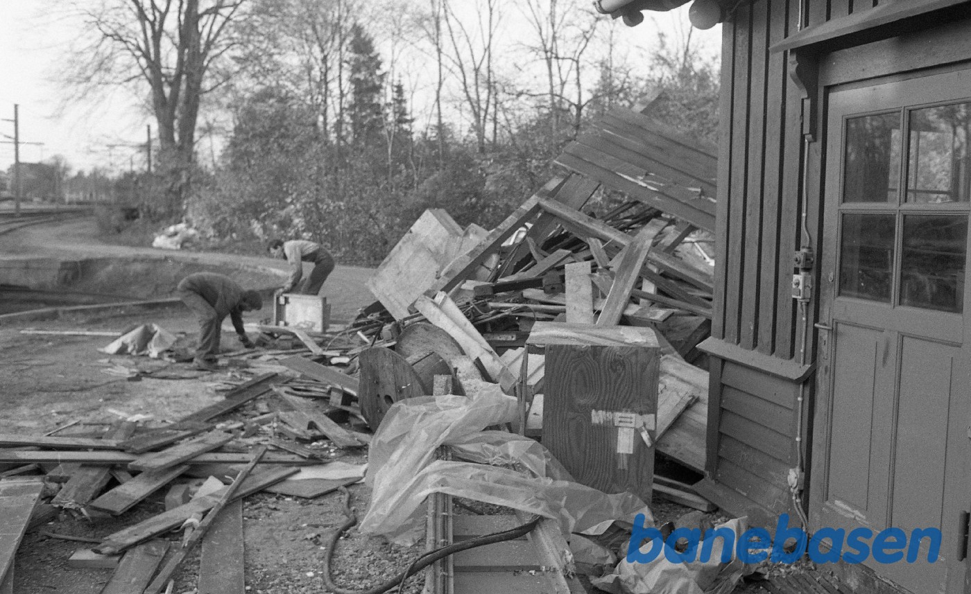 Affaldstræ i Rungsted til opfyring Affaldstræ i Rungsted til opfyring