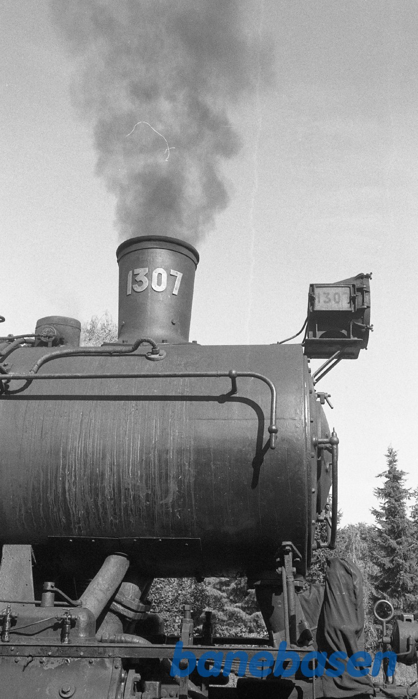 Stort tog med 1307 og lejede vogne i Fredensborg Stort tog med 1307 og lejede vogne i Fredensborg