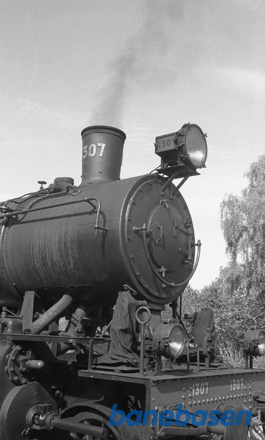 Stort tog med 1307 og lejede vogne i Fredensborg Stort tog med 1307 og lejede vogne i Fredensborg