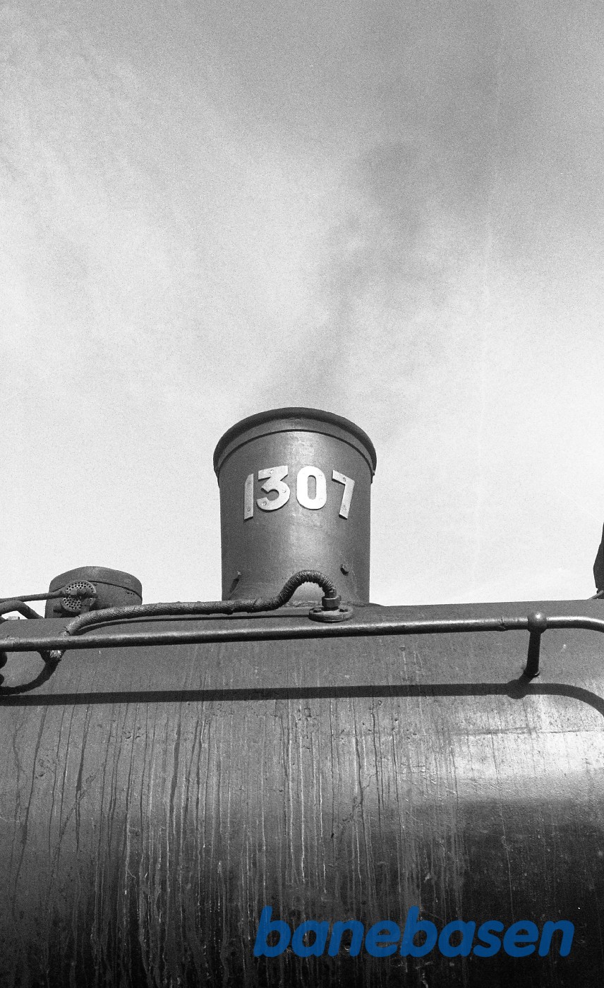 Stort tog med 1307 og lejede vogne i Fredensborg Stort tog med 1307 og lejede vogne i Fredensborg