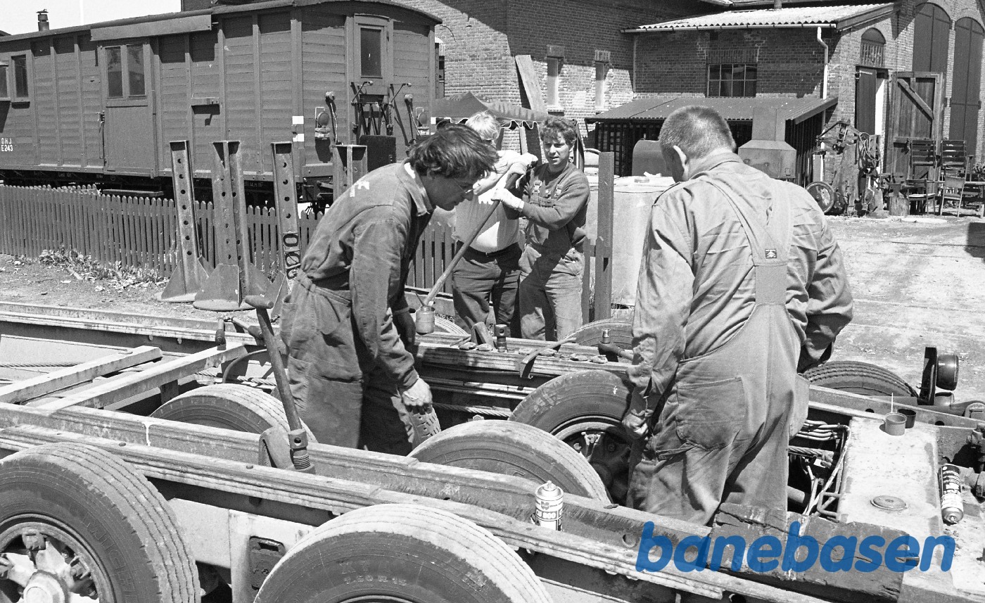 Vognbjørn i Græsted Vognbjørn i Græsted