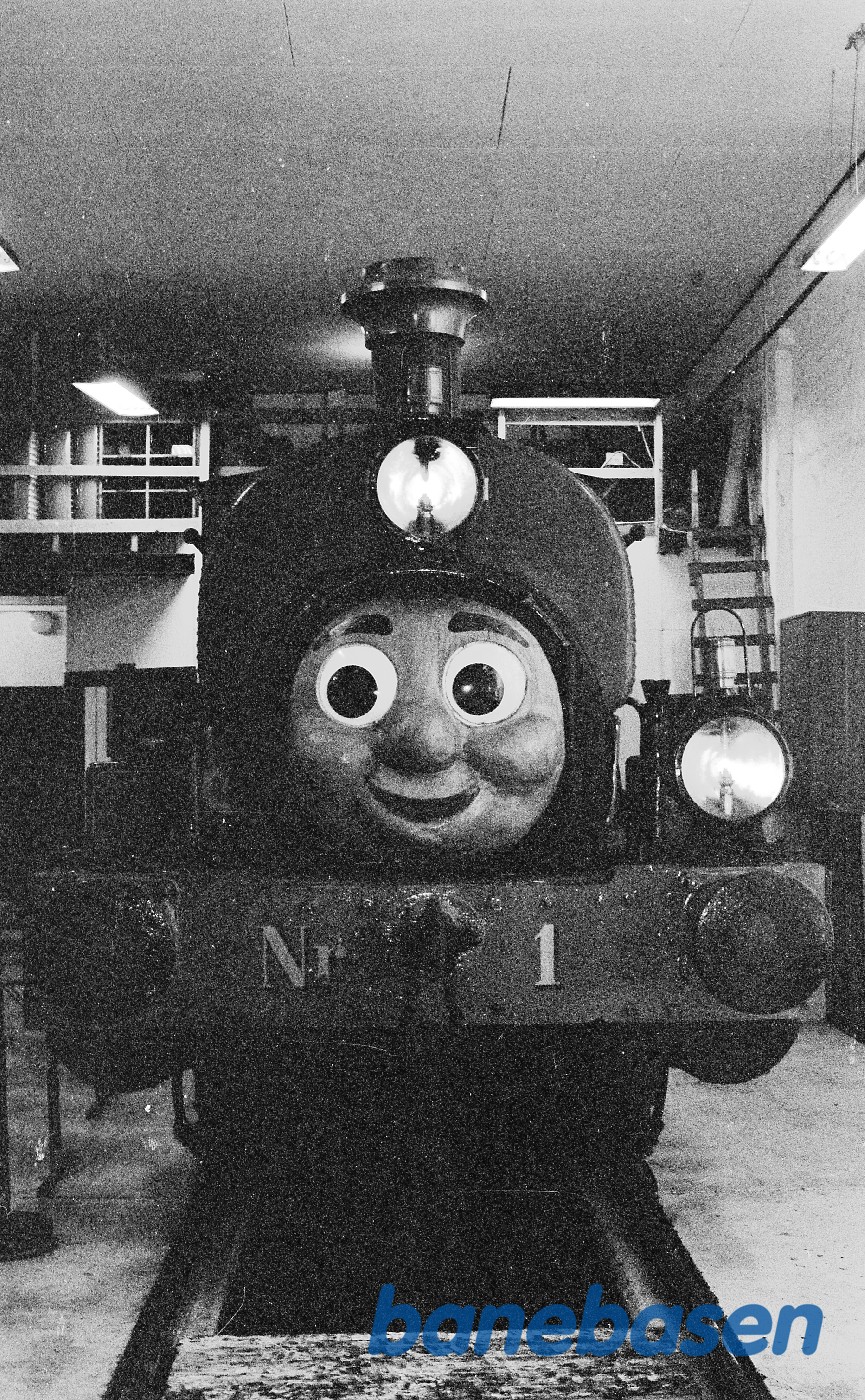 ØG 1 i Græsted ØG 1 i Græsted