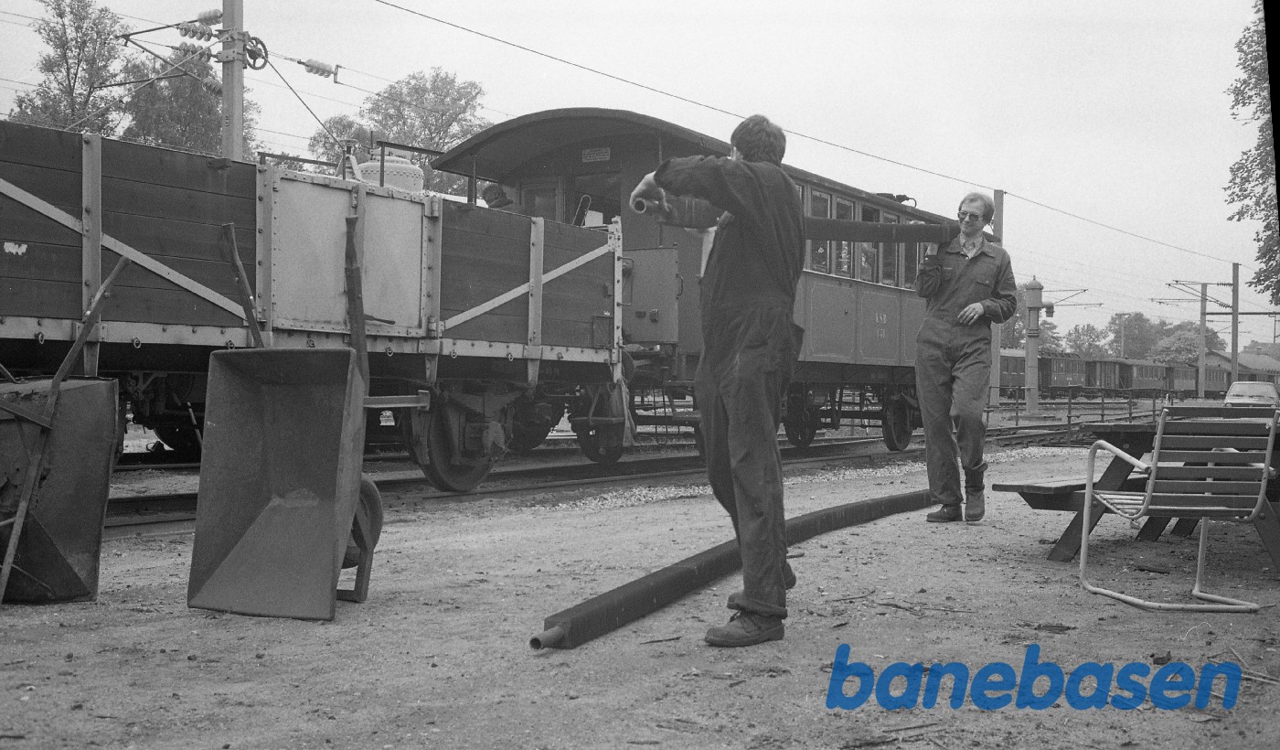 Der bæres ribberør ved Rungsted remise Der bæres ribberør ved Rungsted remise