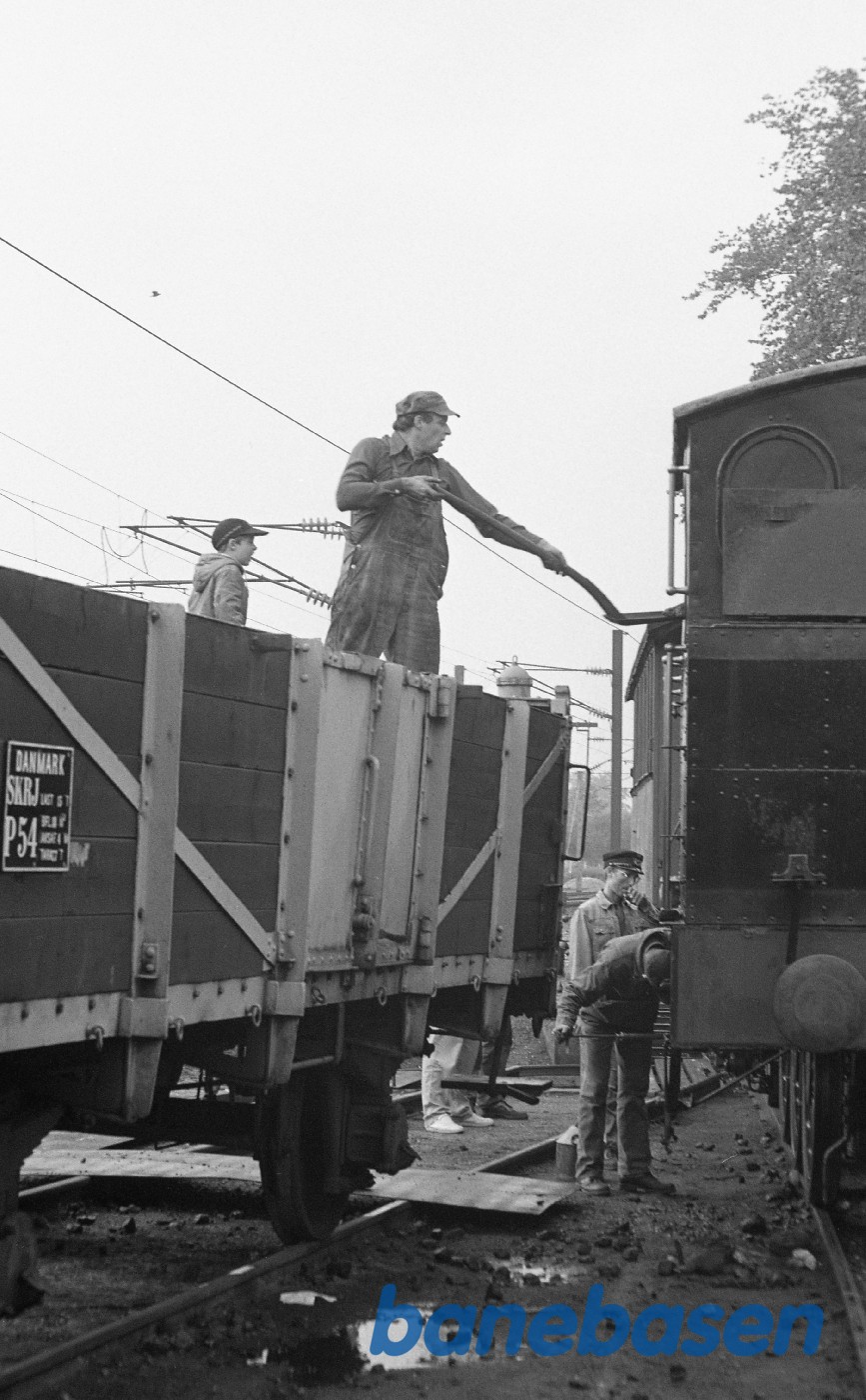 Kulning af ØSJS 7 i Rungsted Kulning af ØSJS 7 i Rungsted