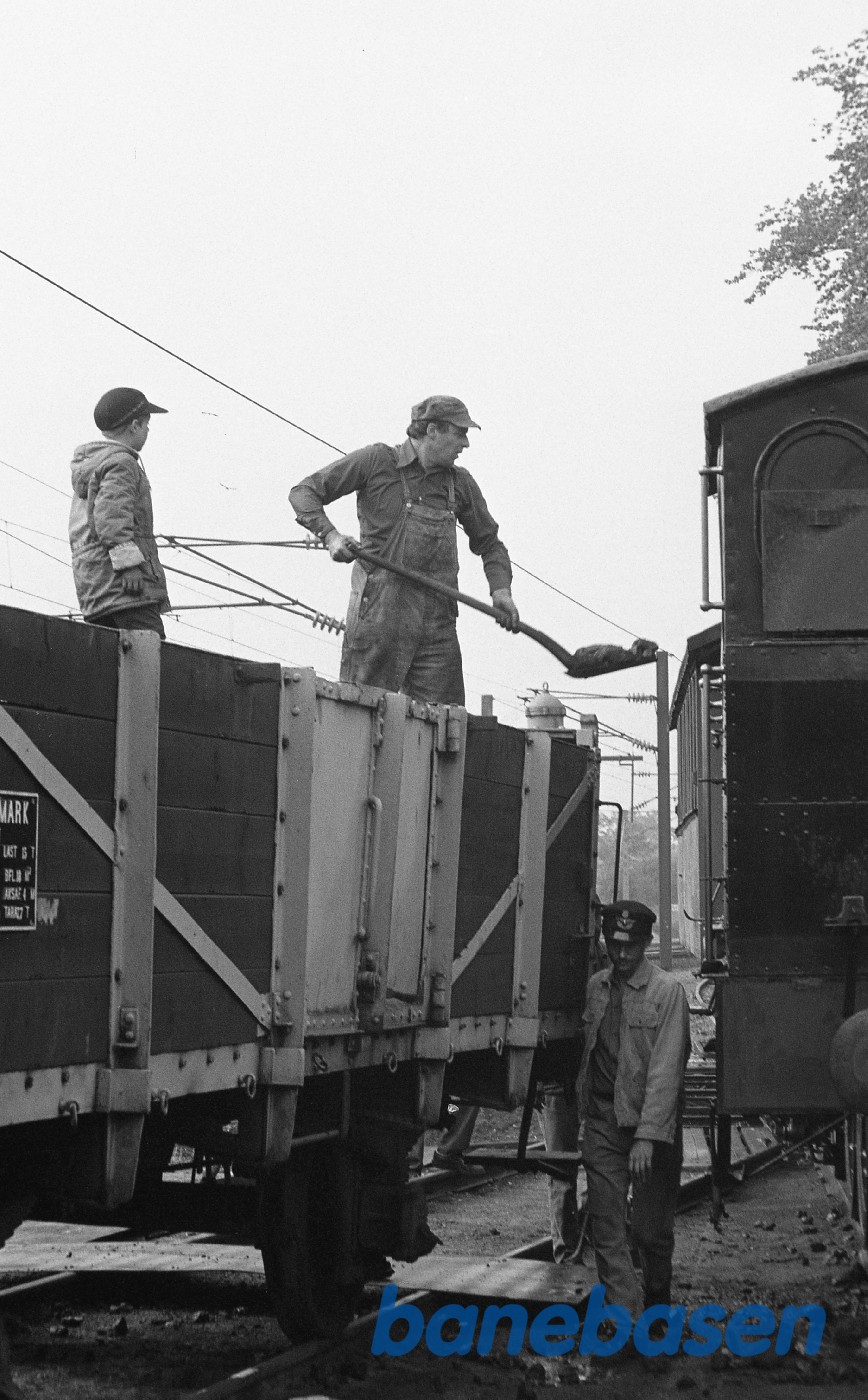 Kulning af ØSJS 7 i Rungsted Kulning af ØSJS 7 i Rungsted