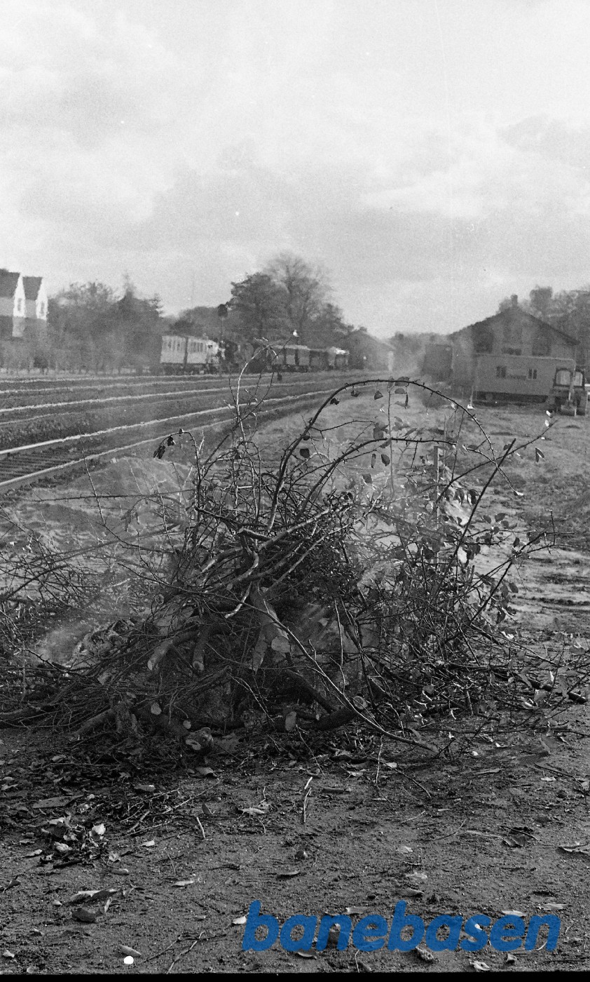Afbrænding af haveaffald på Rungsted station, landsiden Afbrænding af haveaffald på Rungsted station, landsiden