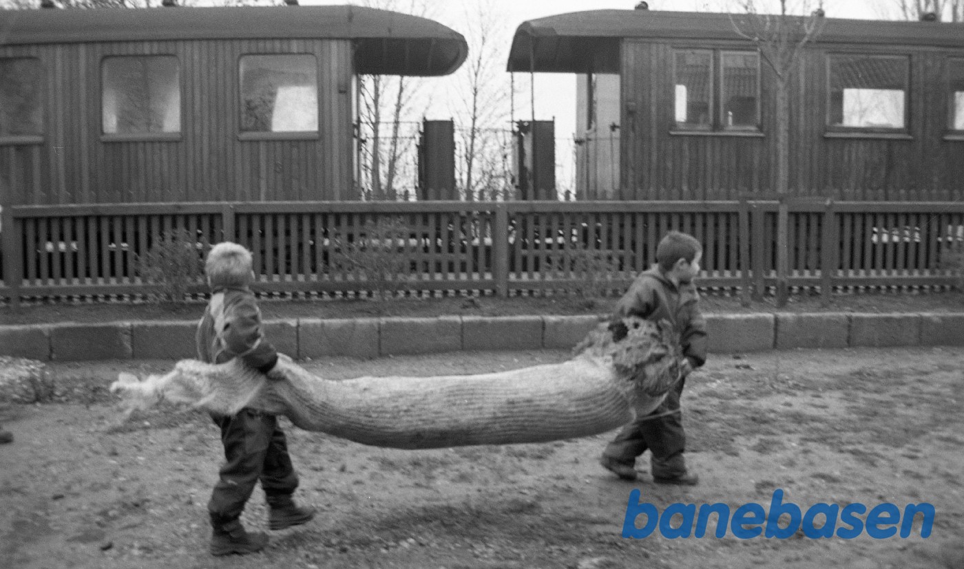 To børn med juletræ i Græsted To børn med juletræ i Græsted