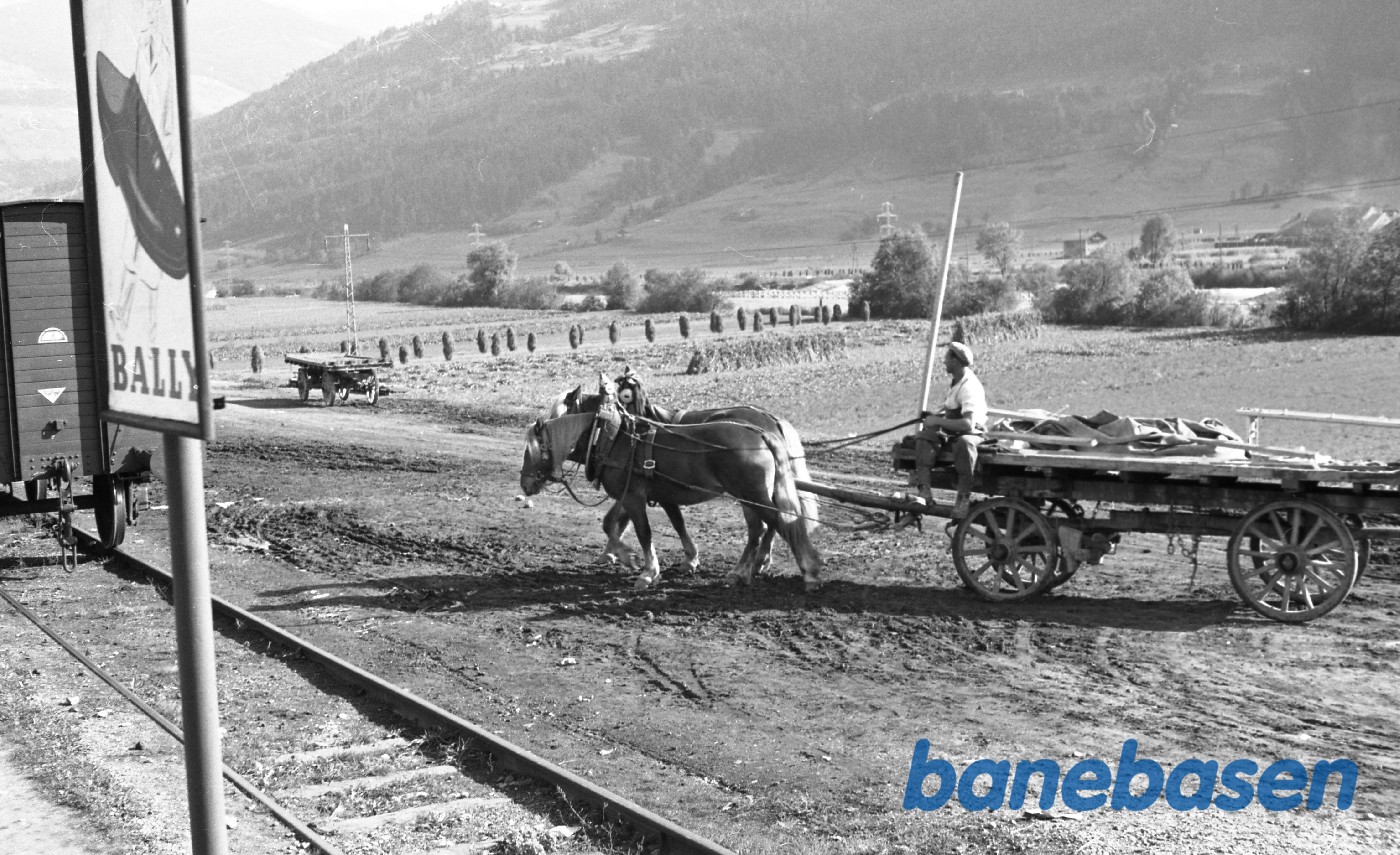 Feriebilleder Feriebilleder