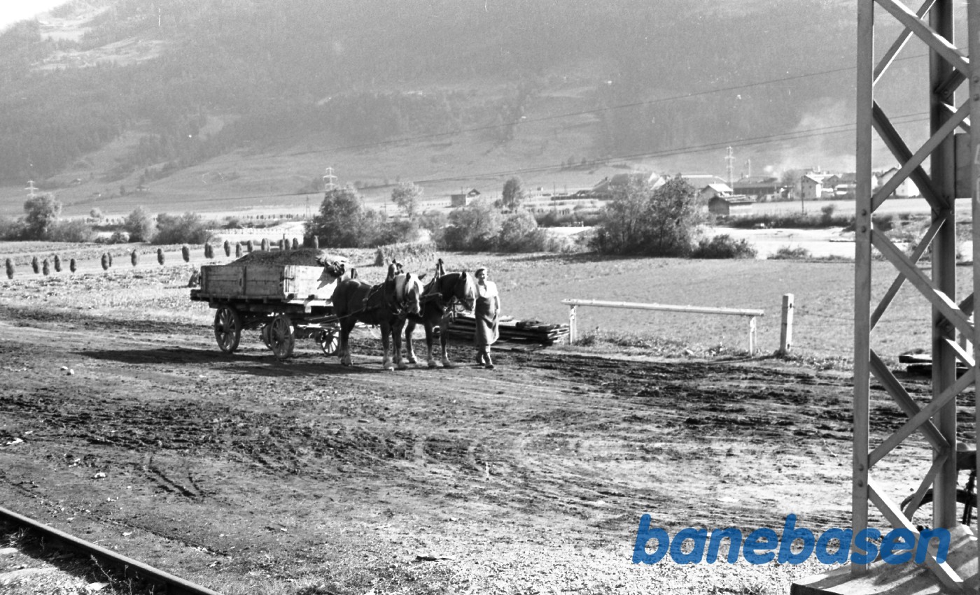 Feriebilleder Feriebilleder