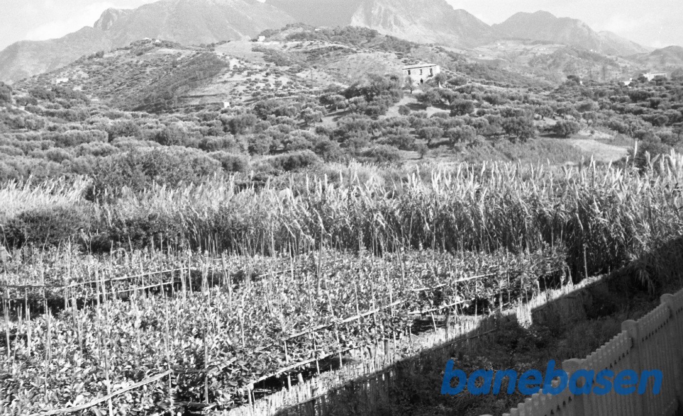 Feriebilleder Feriebilleder