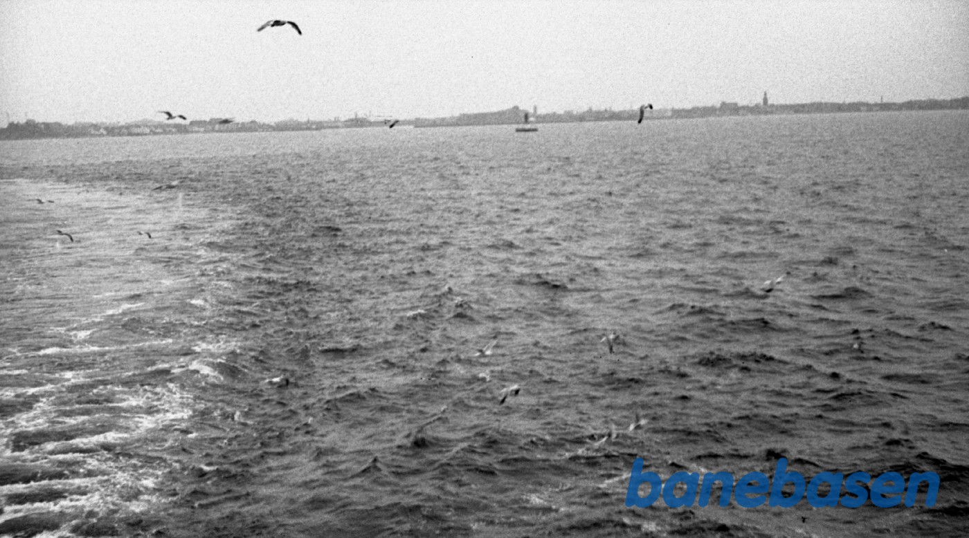 Bølger og måger Bølger og måger