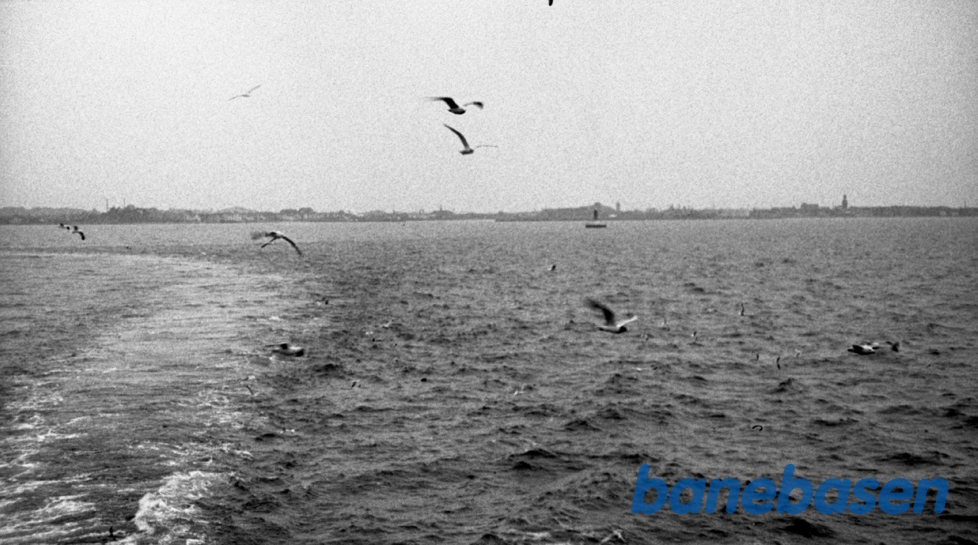 Bølger og måger Bølger og måger