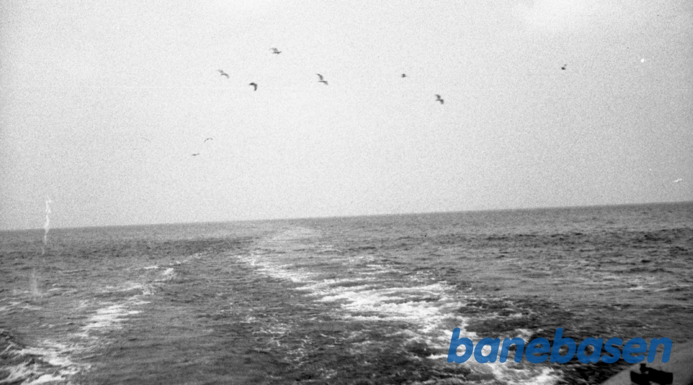 Bølger og måger Bølger og måger