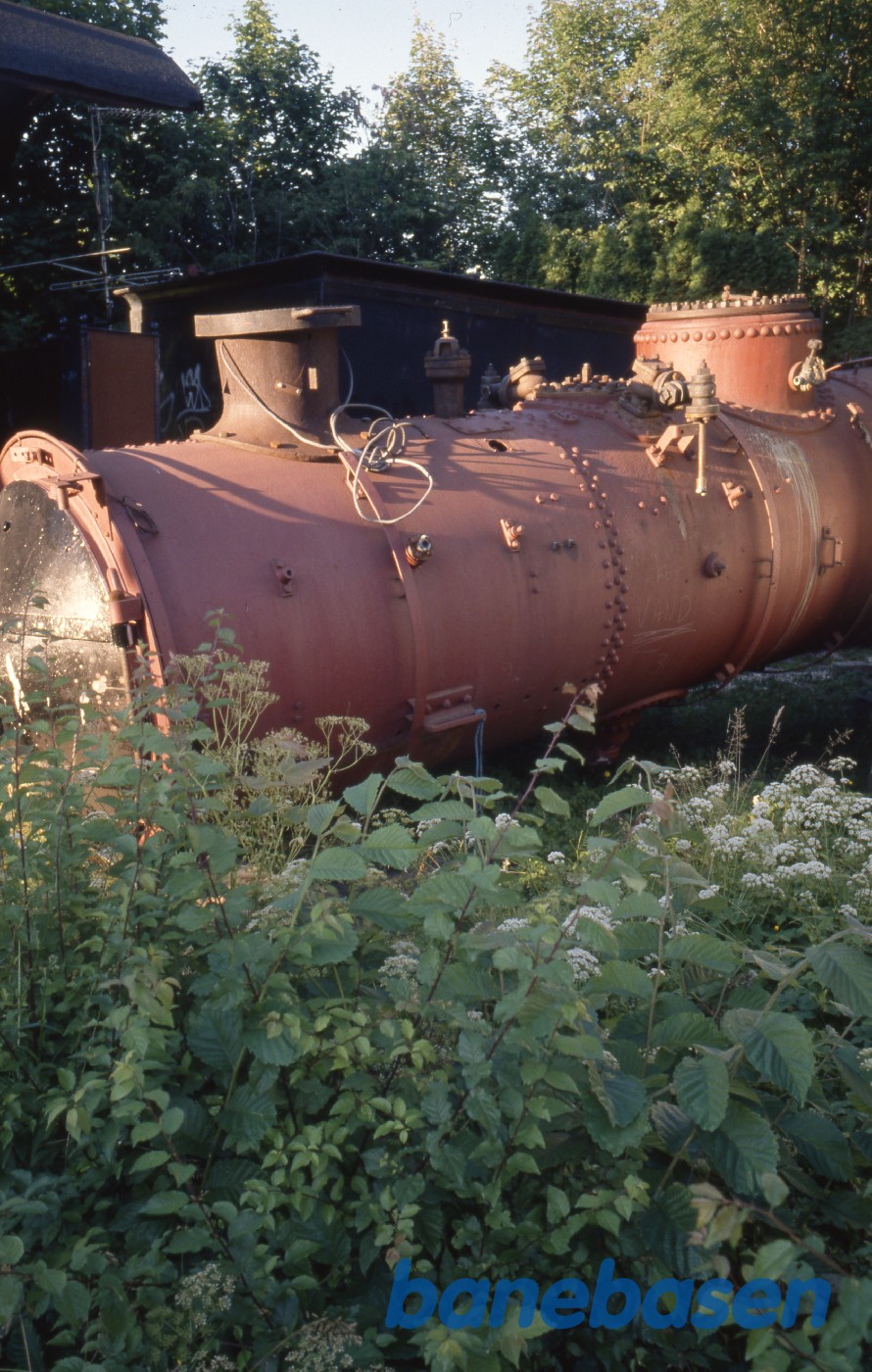Afklædt kedel bag buske i Rungsted Afklædt kedel bag buske i Rungsted