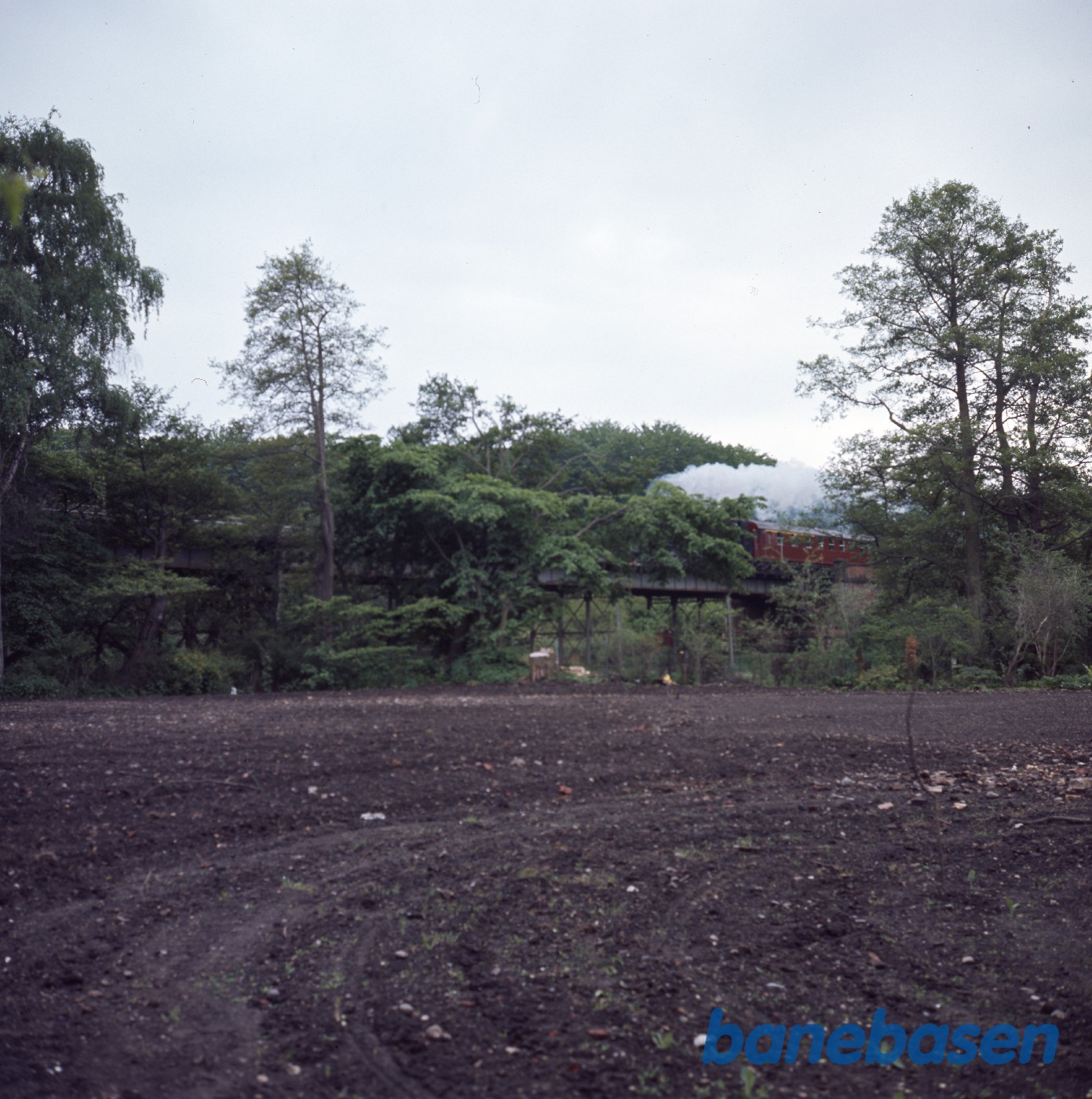 Damptog bag træer på Strandmøllebroen Damptog bag træer på Strandmøllebroen