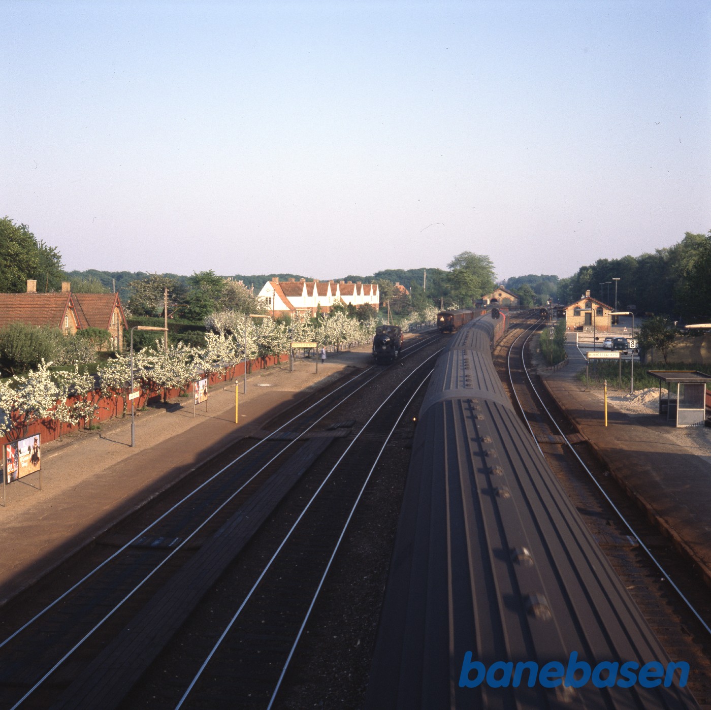 Nr. 14 rangerer i Rungsted Nr. 14 rangerer i Rungsted