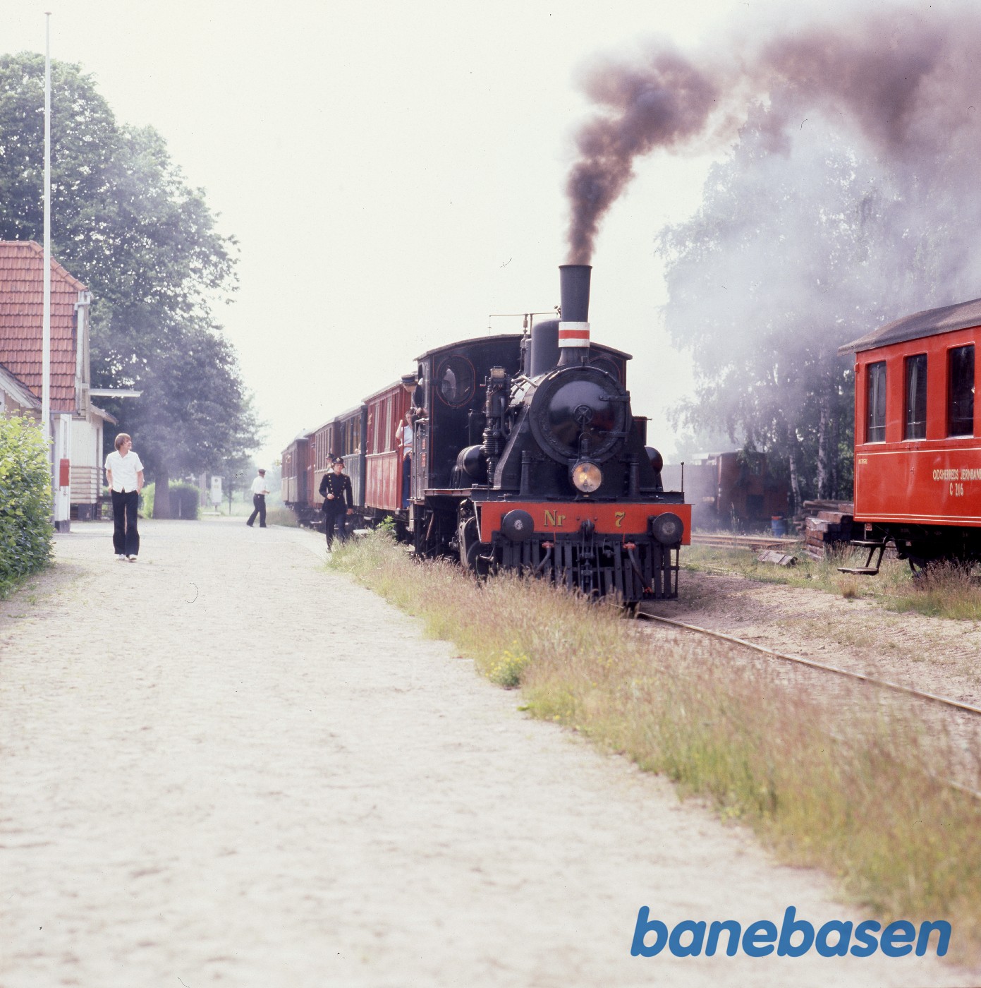 Sommertog i Saunte Sommertog i Saunte
