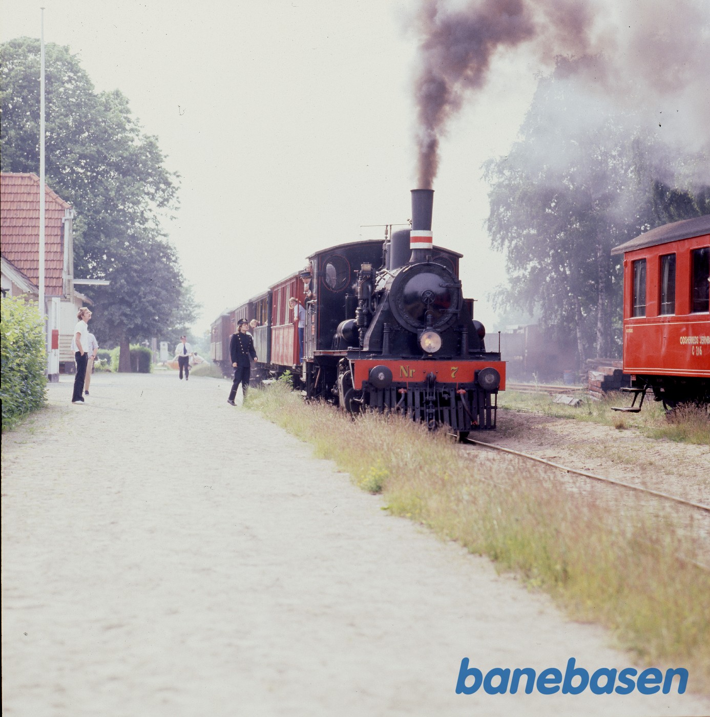 Sommertog i Saunte Sommertog i Saunte