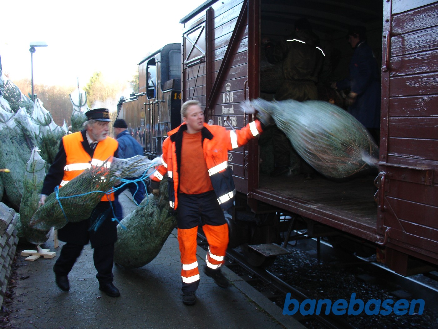 Læsning af juletræer i Mårum Læsning af juletræer i Mårum