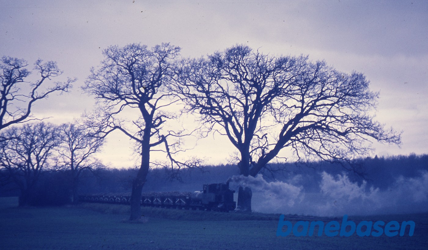 Sukkerroebanelokomotiv med tankvogn Sukkerroebanelokomotiv med tankvogn