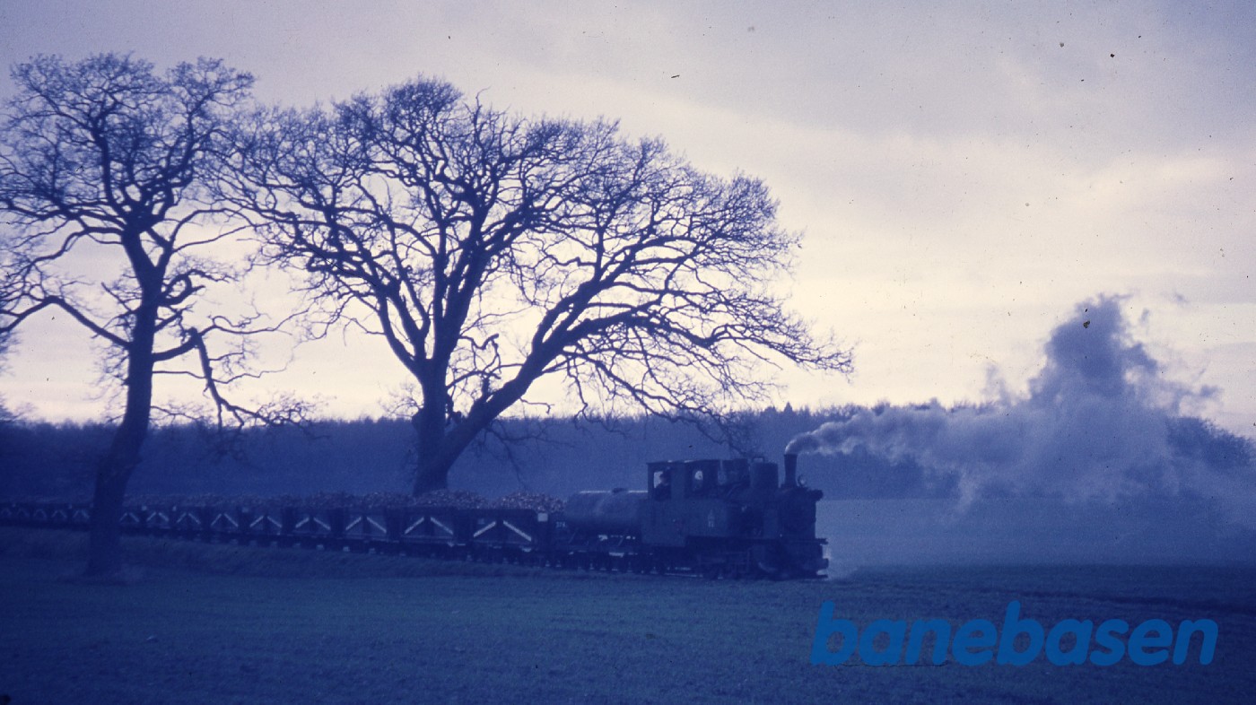 Sukkerroebanelokomotiv med tankvogn Sukkerroebanelokomotiv med tankvogn
