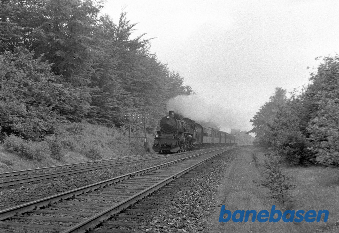 DSB E 999 med tog 19 i skoven DSB E 999 med tog 19 i skoven
