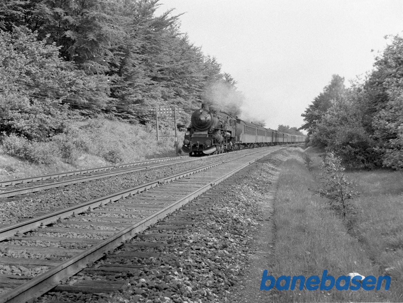 DSB E 978 med tog 27 i skoven DSB E 978 med tog 27 i skoven