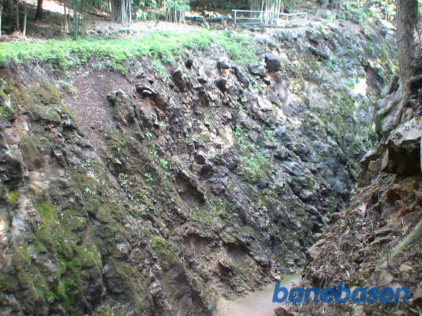 Den gamle tracé, hvor banen i sin tid gik Den gamle tracé, hvor banen i sin tid gik