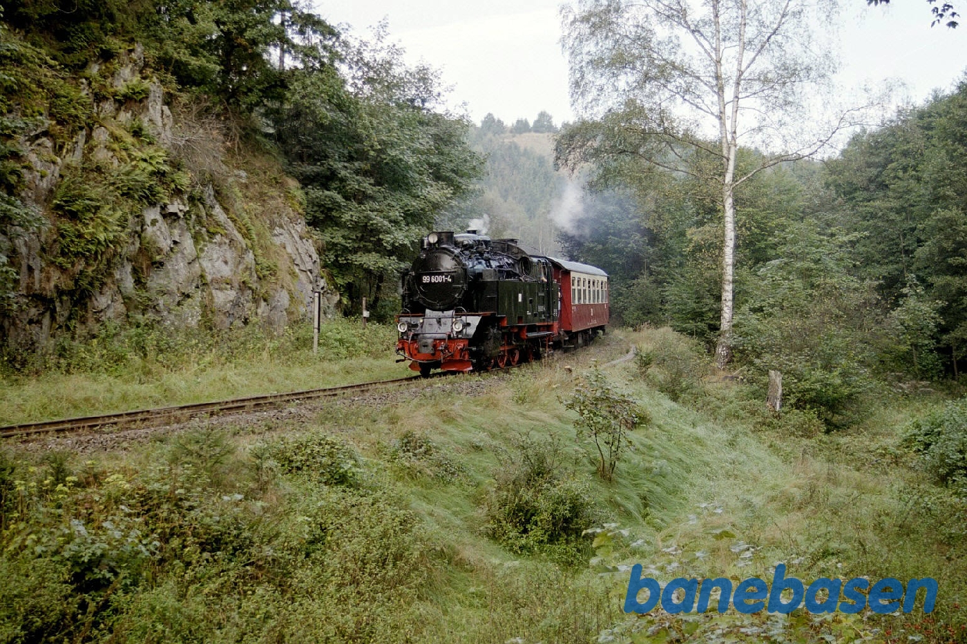 Damptoget på strækningen Damptoget på strækningen