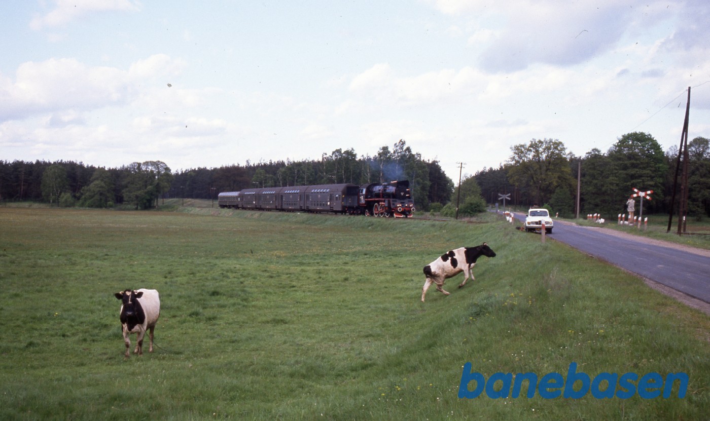 Et persontog kører på en strækning i nærheden af Wolsztyn Et persontog kører på en strækning i nærheden af Wolsztyn