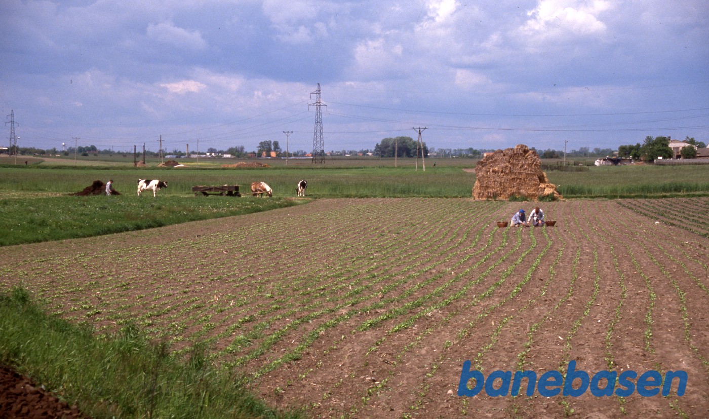 Markarbejdere et sted i Polen Markarbejdere et sted i Polen