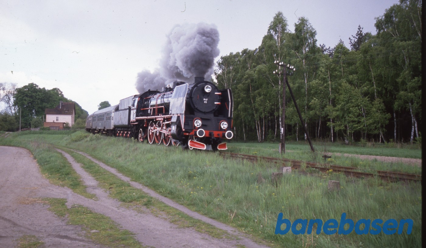 Et persontog kører på en strækning i nærheden af Wolsztyn Et persontog kører på en strækning i nærheden af Wolsztyn