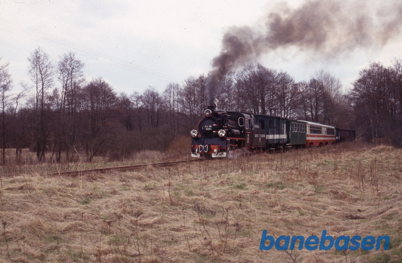 Fotostop ved et skovbryn et ukendt sted på strækningen Fotostop ved et skovbryn et ukendt sted på strækningen