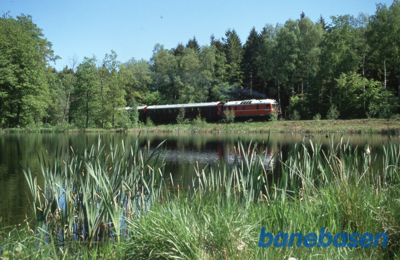 Fotostop ved Sorte Sø i Gribskov Fotostop ved Sorte Sø i Gribskov