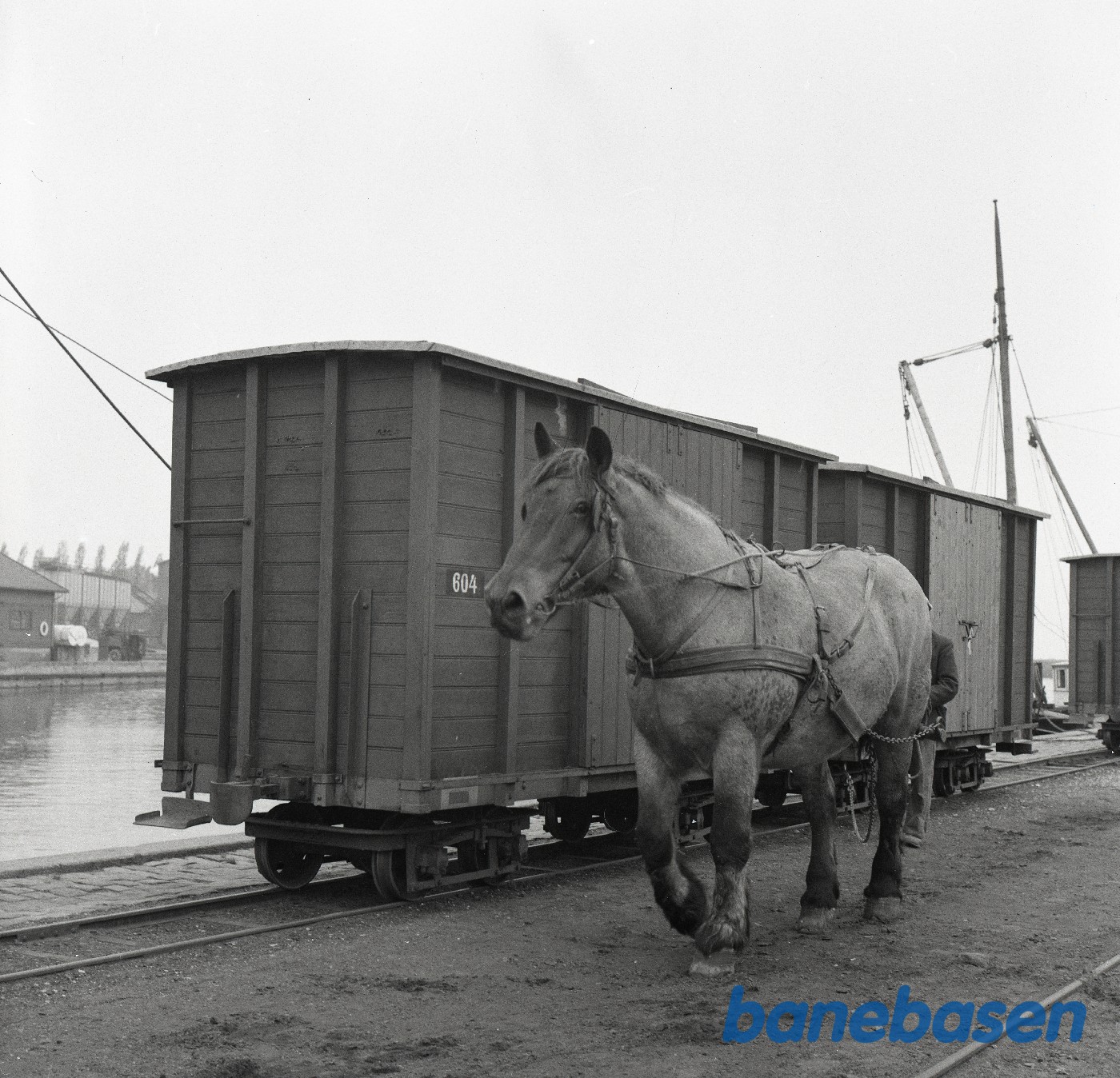 Hesterangering i Sakskøbing Hesterangering i Sakskøbing