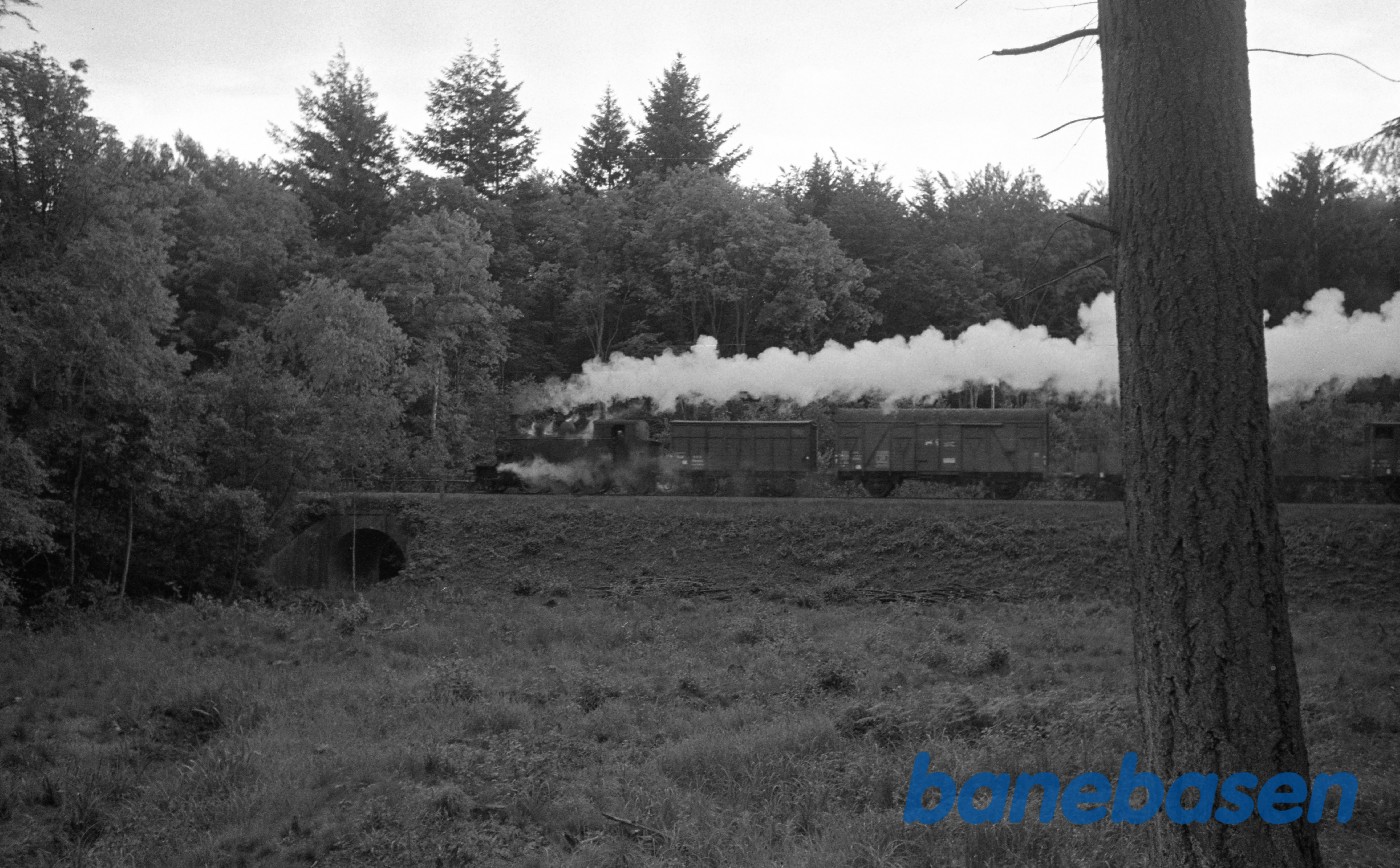 OKMJ nr. 15 med godstog i skoven ved Langesø OKMJ nr. 15 med godstog i skoven ved Langesø