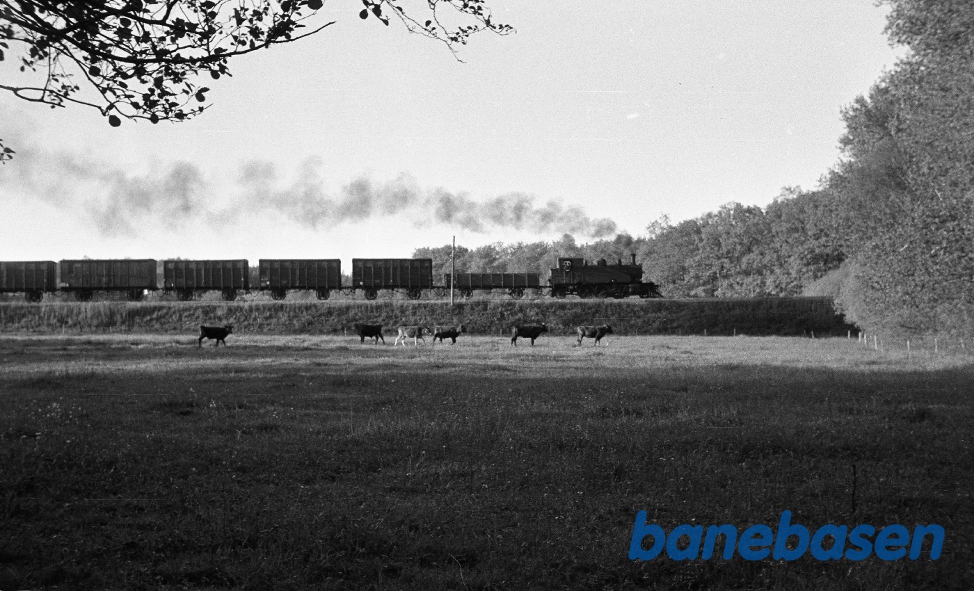 OKMJ nr. 15 med godstog til Odense, kort før Morup OKMJ nr. 15 med godstog til Odense, kort før Morup