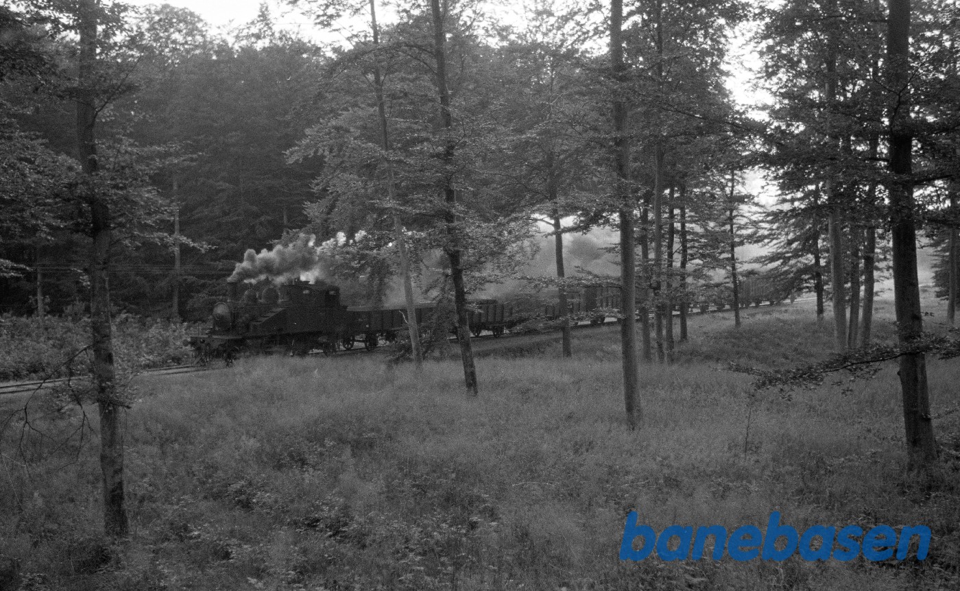 Damplokomotiv nr. 1 med godstog i skoven ved Langesø Damplokomotiv nr. 1 med godstog i skoven ved Langesø