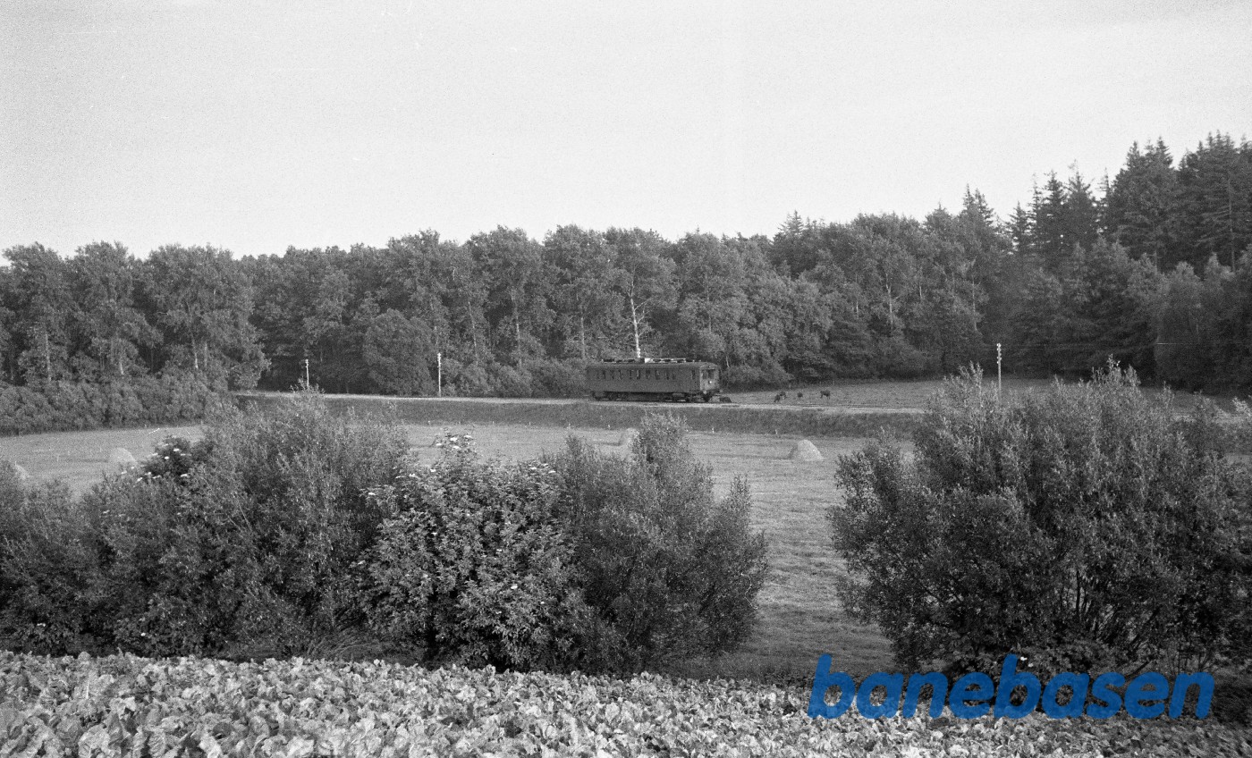 MD-motorvogn til middelfart, kort før Morup MD-motorvogn til middelfart, kort før Morup
