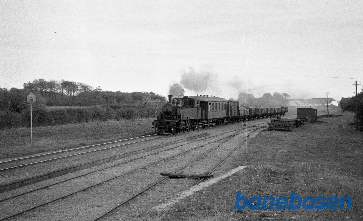 Damplokomotiv nr. 14 med godstog fra Martofte Damplokomotiv nr. 14 med godstog fra Martofte