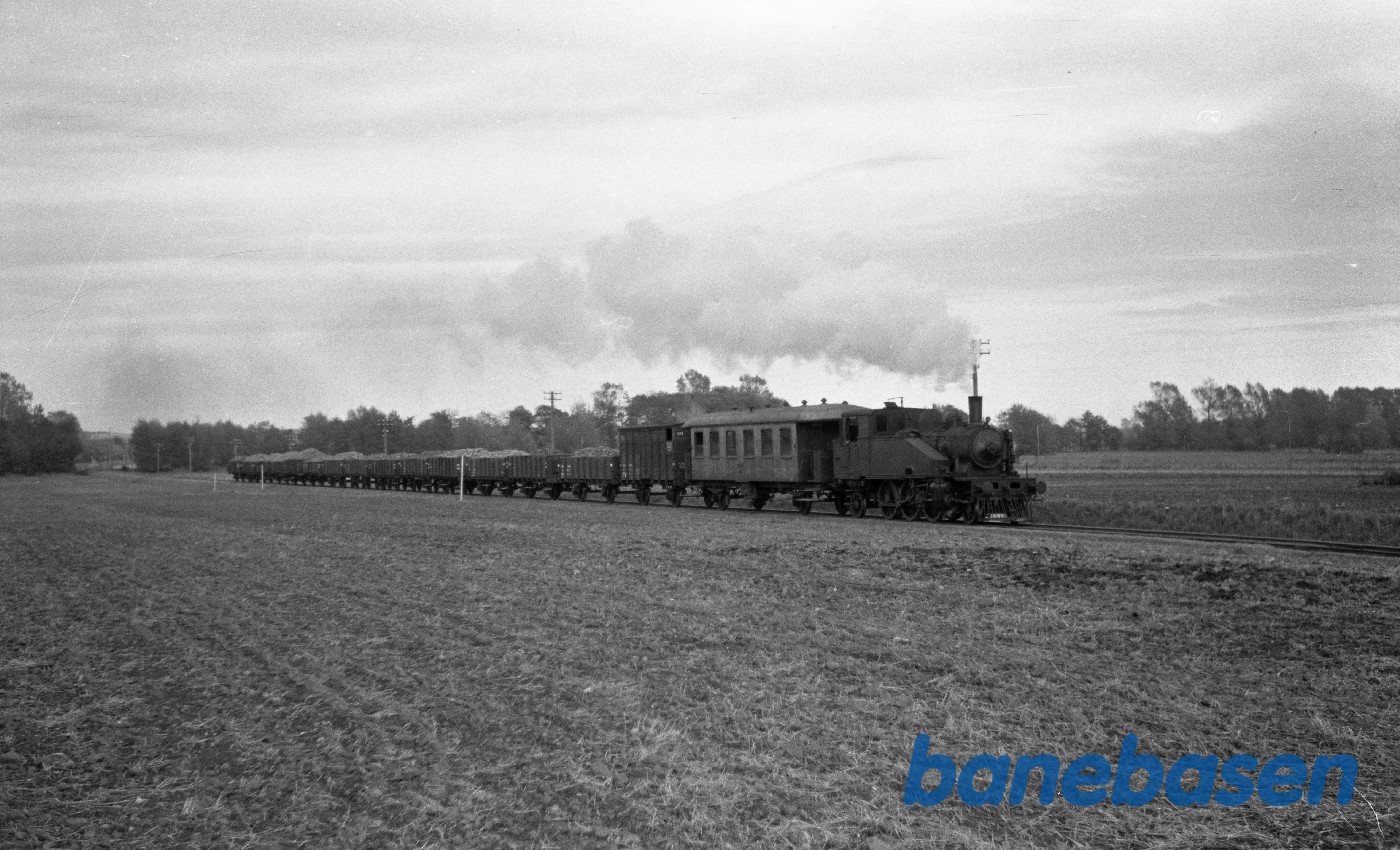 Damplokomotiv nr. 14 med godstog fra Martofte ved Vester Kærby Damplokomotiv nr. 14 med godstog fra Martofte ved Vester Kærby