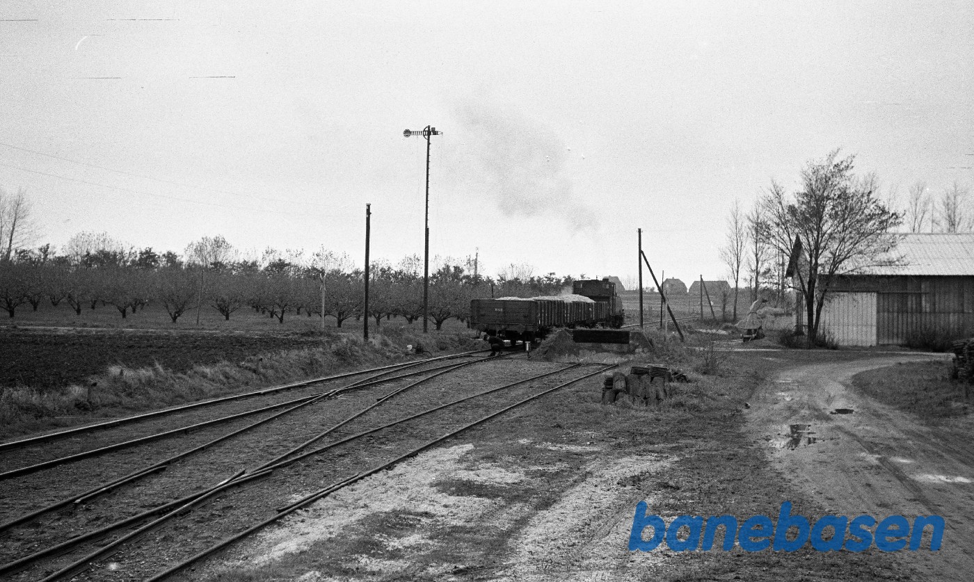Damplokomotiv nr. 14 rangerer med godstog Damplokomotiv nr. 14 rangerer med godstog