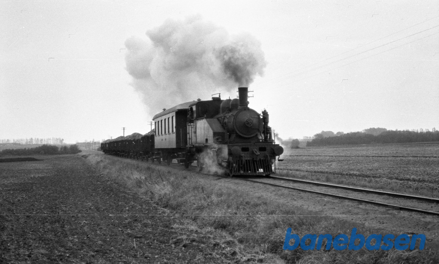 Damplokomotiv nr. 14 med roetog fra Martofte, kort før Odense Damplokomotiv nr. 14 med roetog fra Martofte, kort før Odense