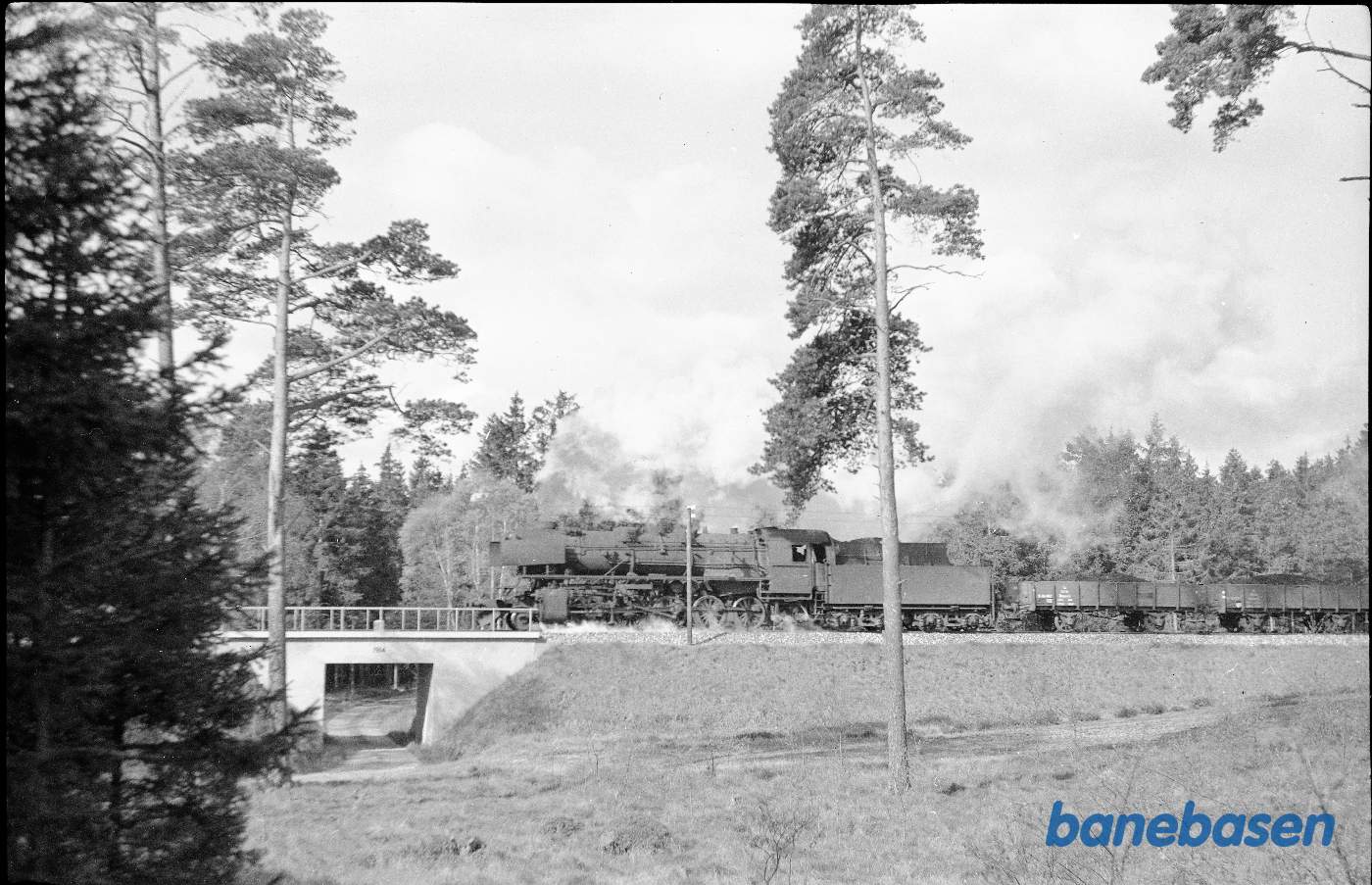 N 203 med brunkulstog