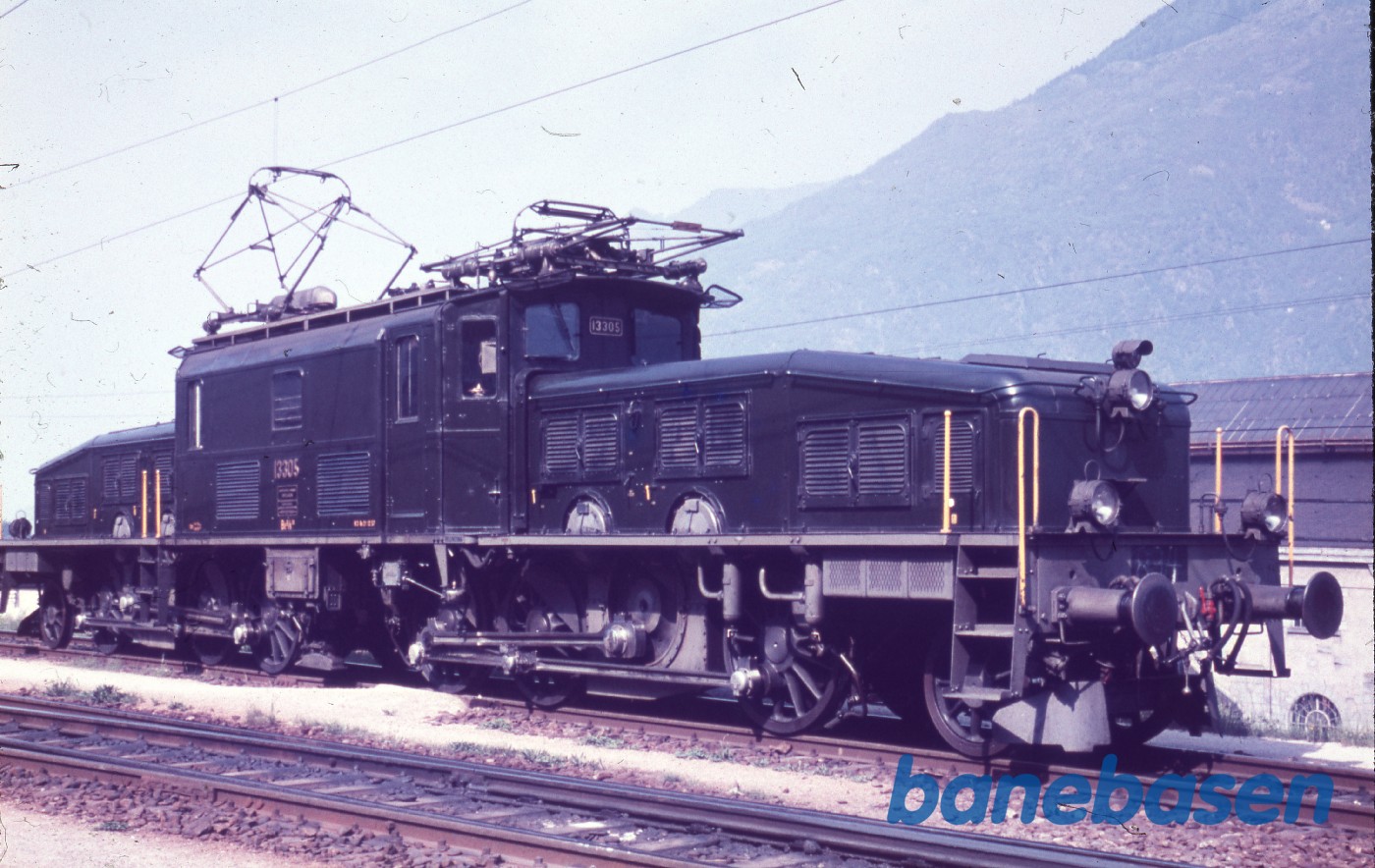 Krokodille Krokodille